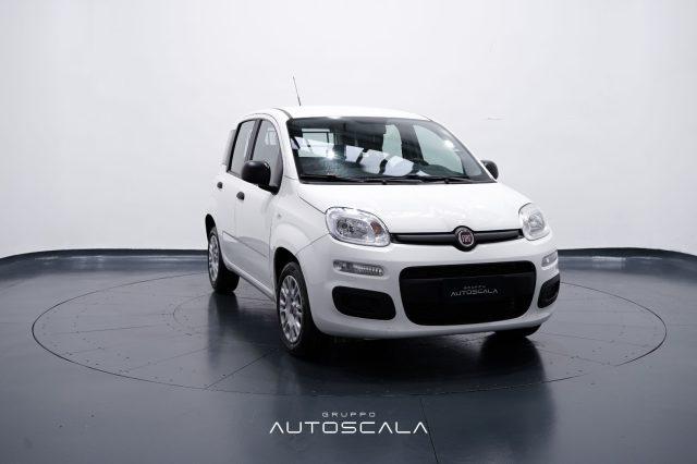 FIAT New Panda 1.2 Easy 4 posti N1 Autocarro della casa