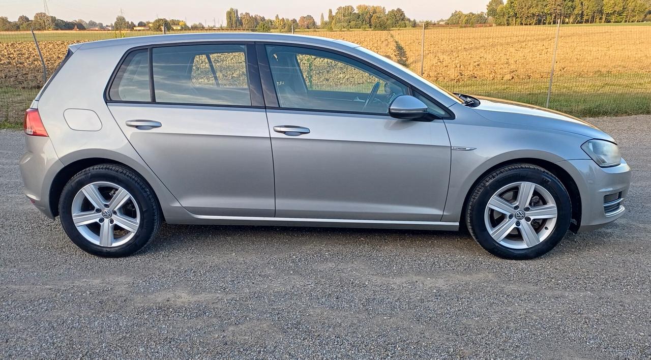 Volkswagen Golf 1.4 TGI 5p. Highline BlueMotion