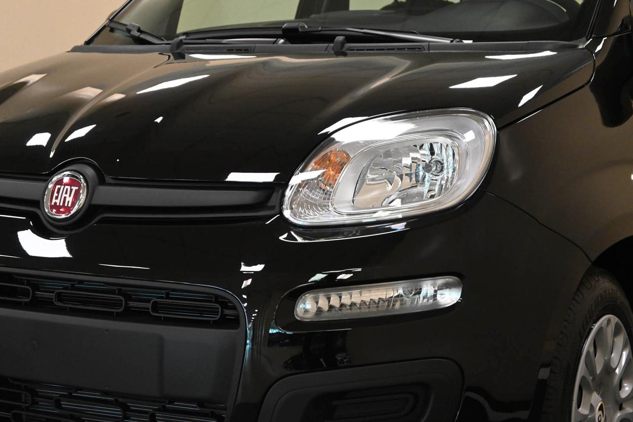 FIAT Panda 3ª serie Panda 1.0 FireFly S&S Hybrid