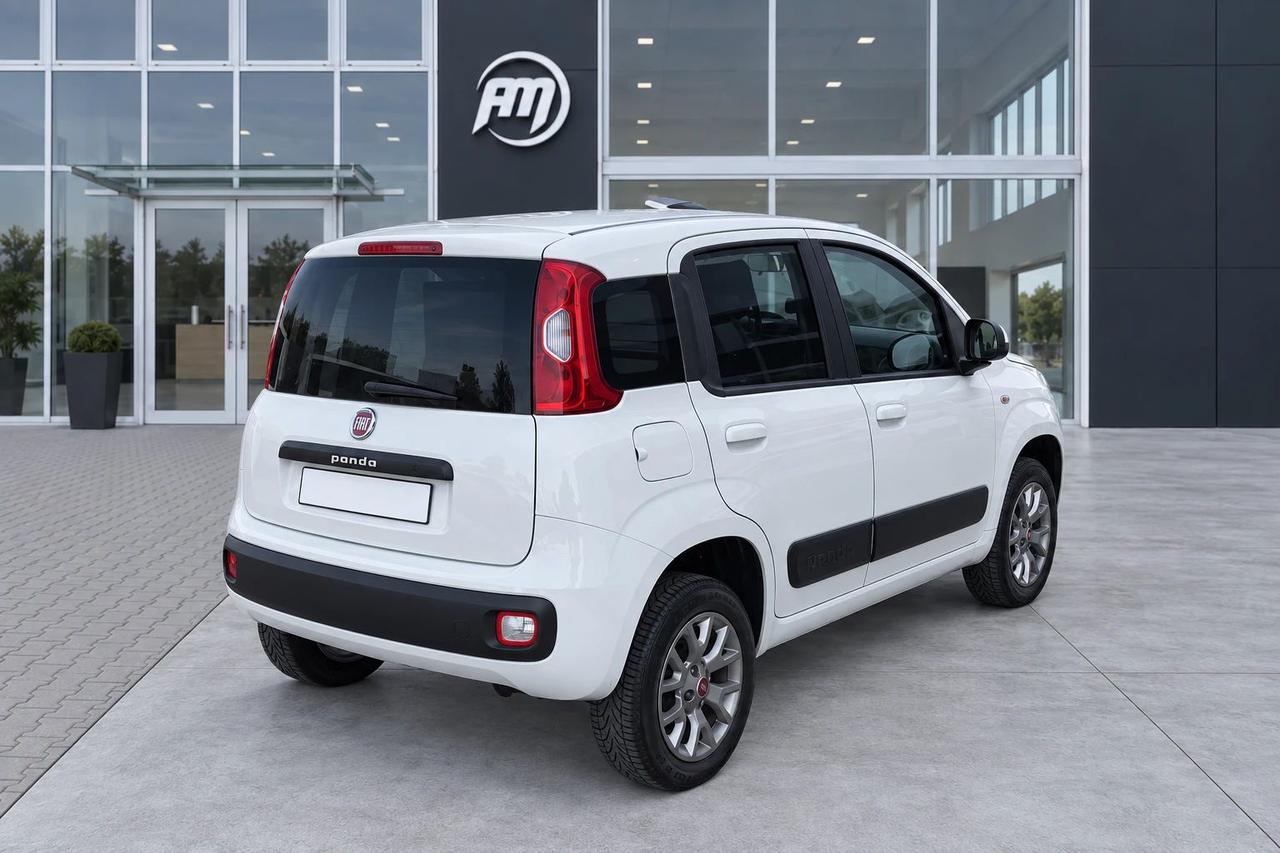 Fiat Panda VAN 1.3 MJT 80 CV 4X4