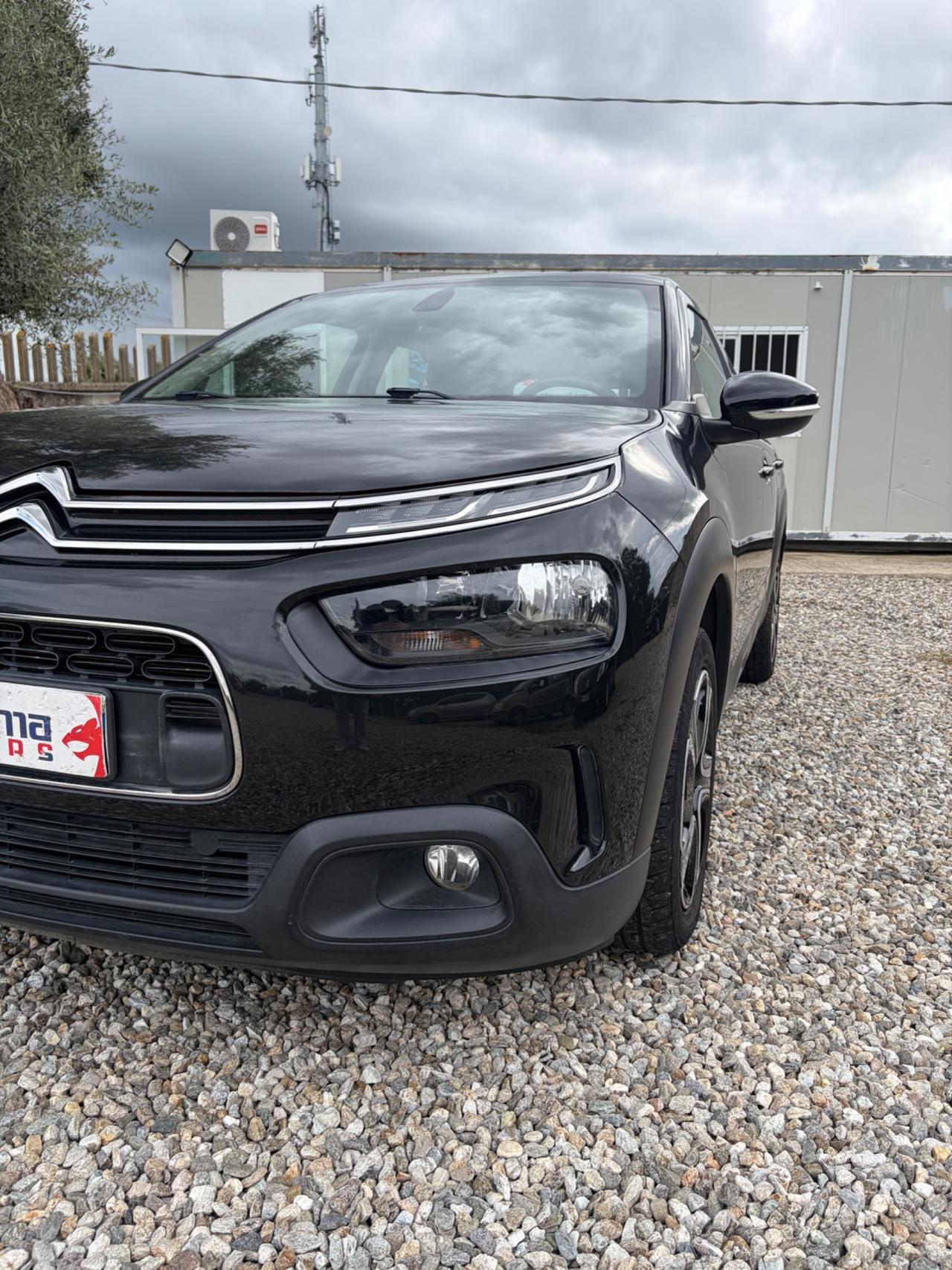Citroen C4 Cactus BlueHDi 100 S&S Shine Pack