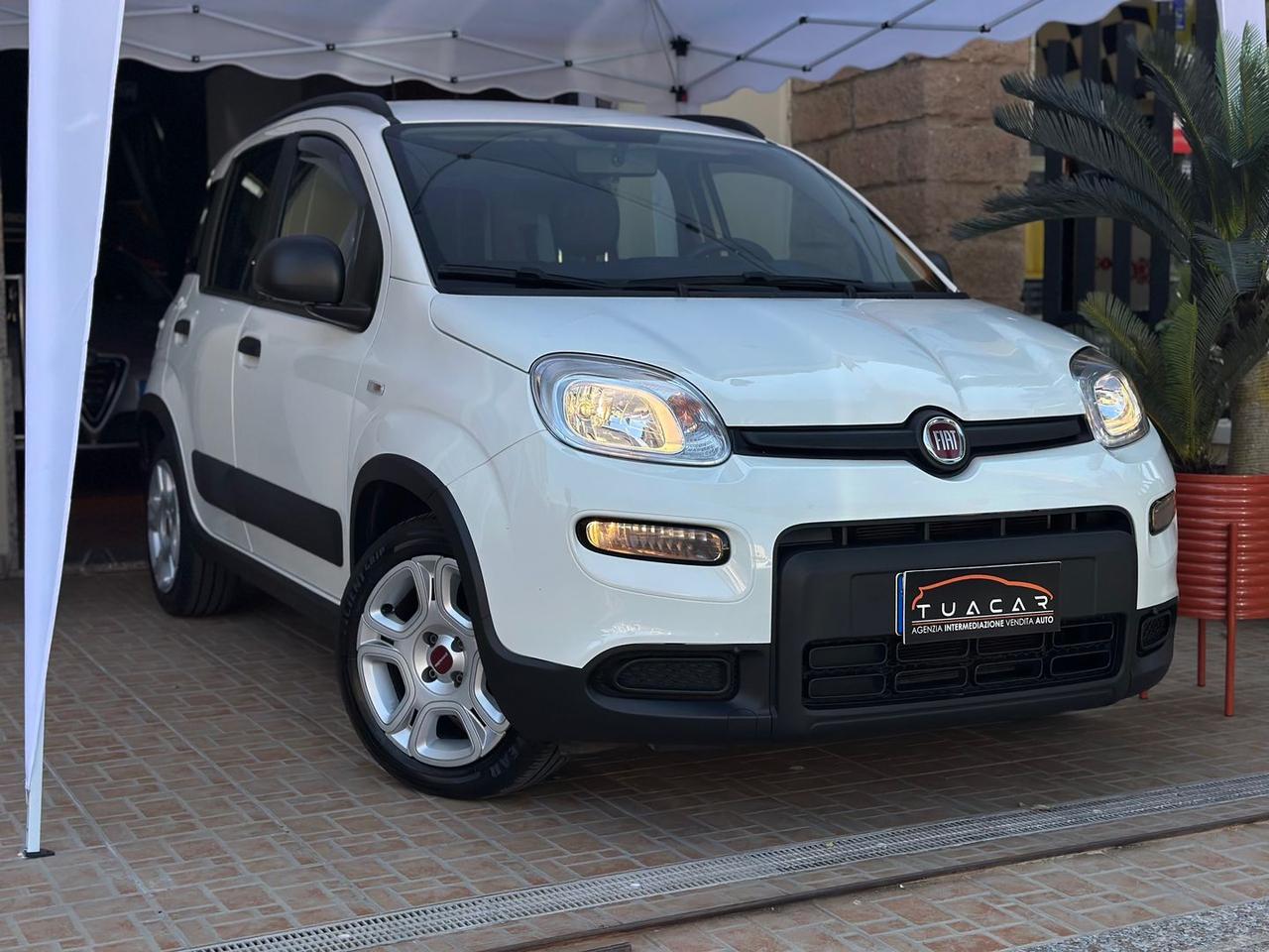 Fiat Panda 1.0 HYBRID MY24 #11654