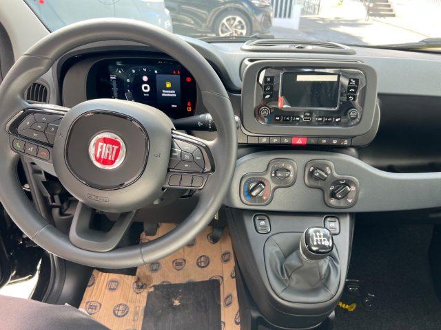 FIAT Panda 1.0 FireFly S&S Hybrid Icon tua da ?149,,00