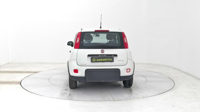 FIAT Panda 1.0 hybrid Street 70cv 4p.ti serie 4 E6d