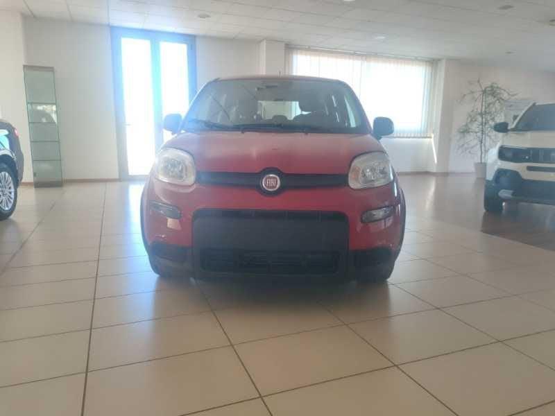 FIAT Panda NEW 1.0 70cv Hybrid Panda