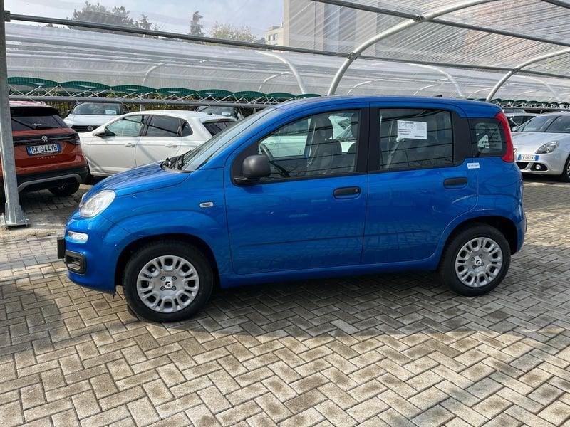 FIAT Panda Panda 1.0 FireFly S&S Hybrid Icon