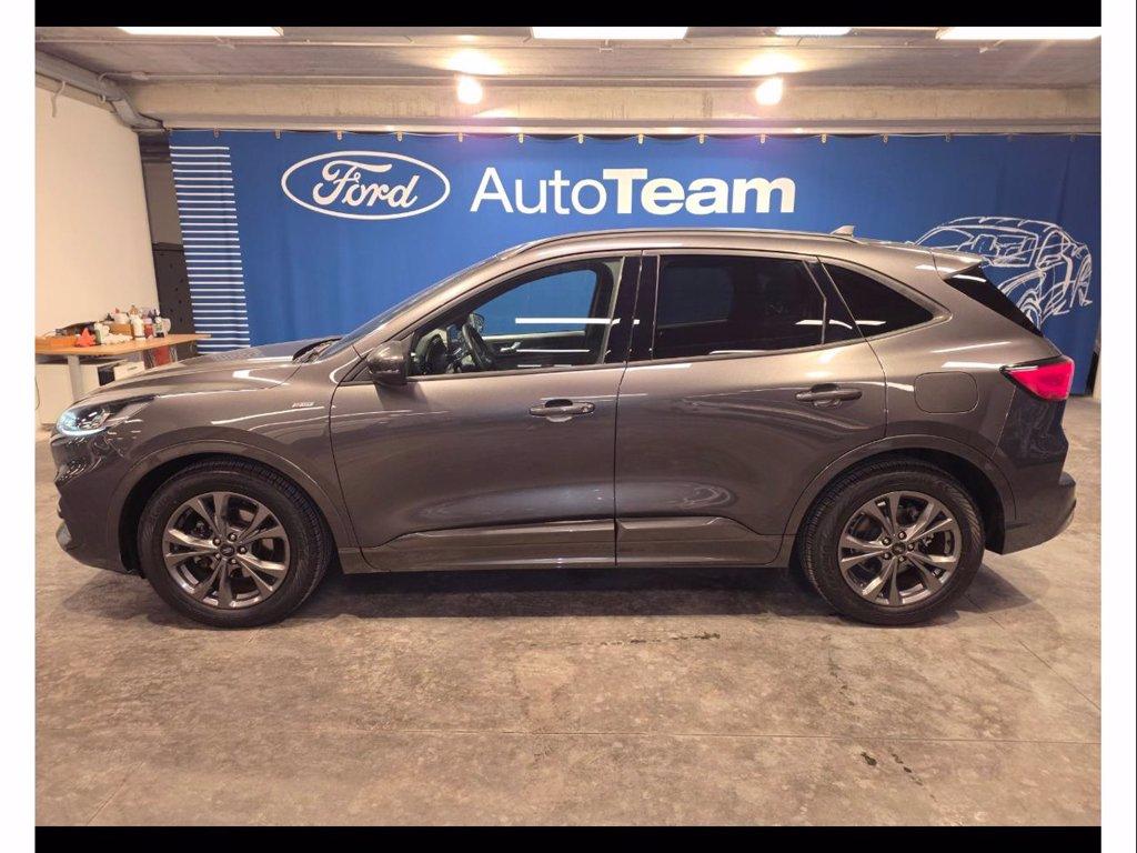 FORD Kuga 1.5 ecoblue st-line 2wd 120cv del 2022