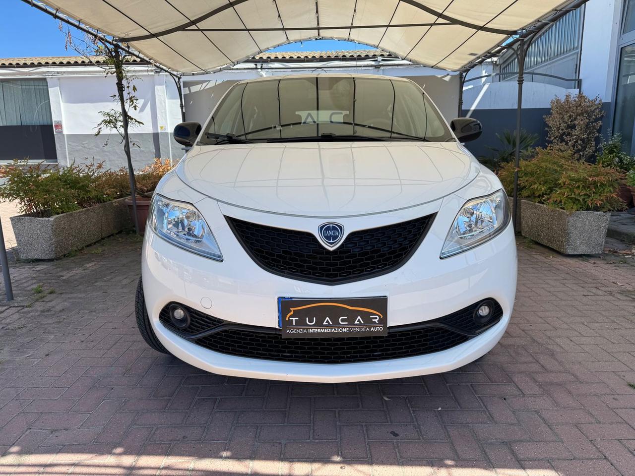 Lancia Ypsilon Gold 0.9 Ecochic #6396