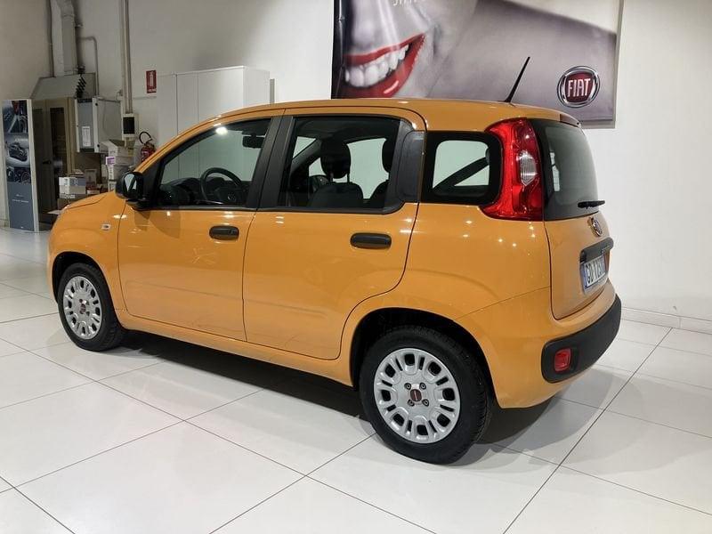 FIAT Panda Panda 1.2 Easy