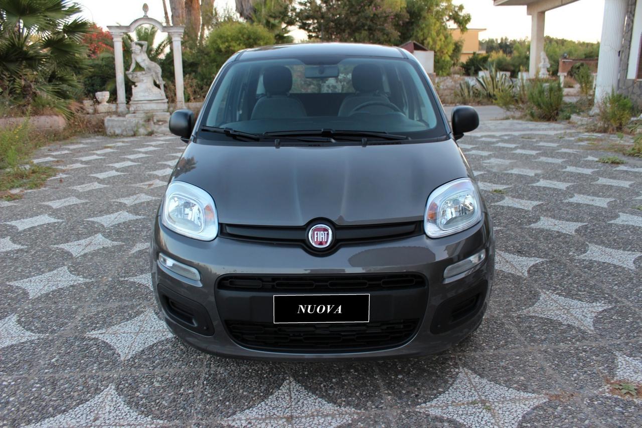 Fiat Panda 1.0 FIREFLY HYBRID CITY LIFE S UFFICIALE ITALIANA