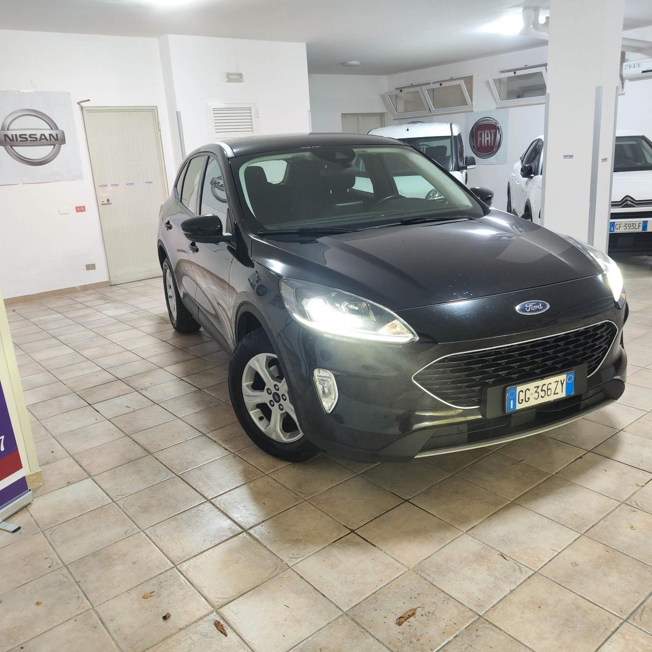 Ford Kuga 1.5 EcoBlue 120 CV aut. 2WD Connect