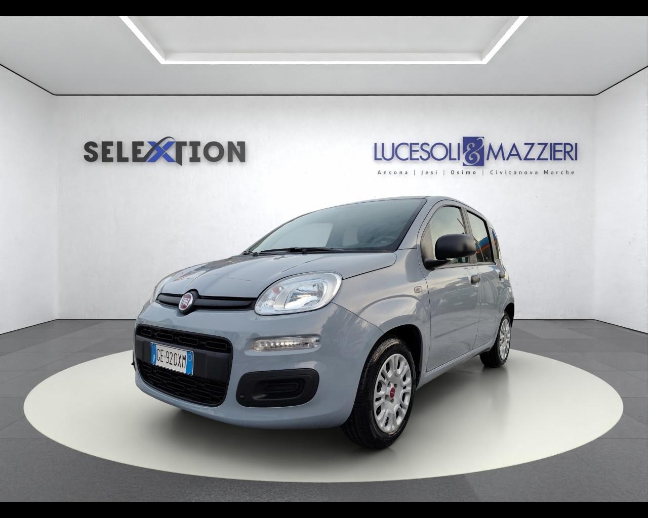 FIAT PANDA - Panda 1.0 FireFly S&S Hybrid