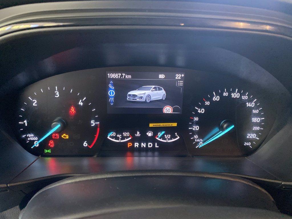 FORD Focus 1.5 ecoblue ST-Line 115cv auto del 2024