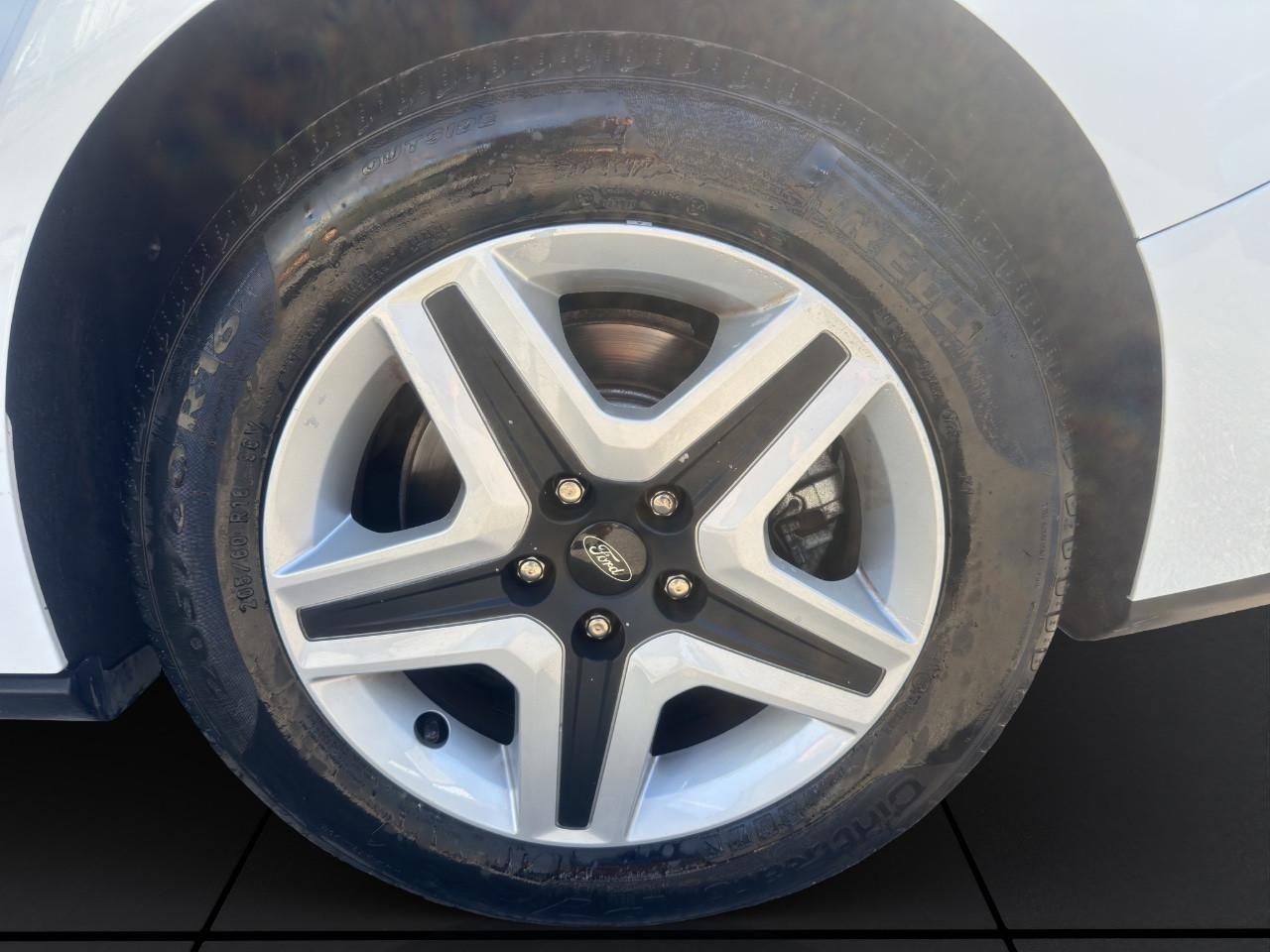 Ford Focus Wagon SW 1.5 ECOBLUE 120CV-LEED-CINGHIA APPENA FATTA-