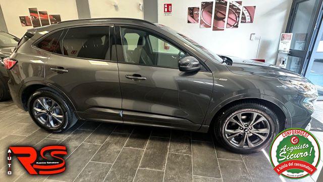 FORD Kuga 1.5 EcoBlue 120 CV 2WD ST-Line X Automatica