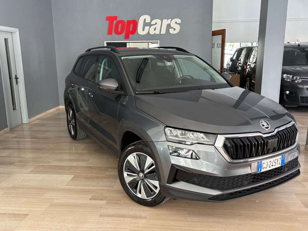 Skoda Karoq 2.0 TDI EVO SCR 115 CV DSG Executive