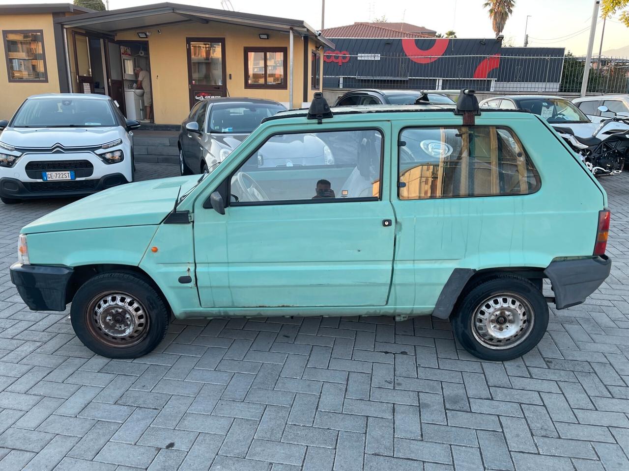 Fiat Panda 900 i.e. cat Young