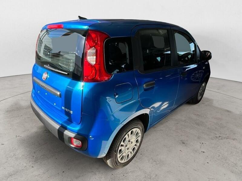 FIAT Panda NEW 1.0 70cv Hybrid Icon
