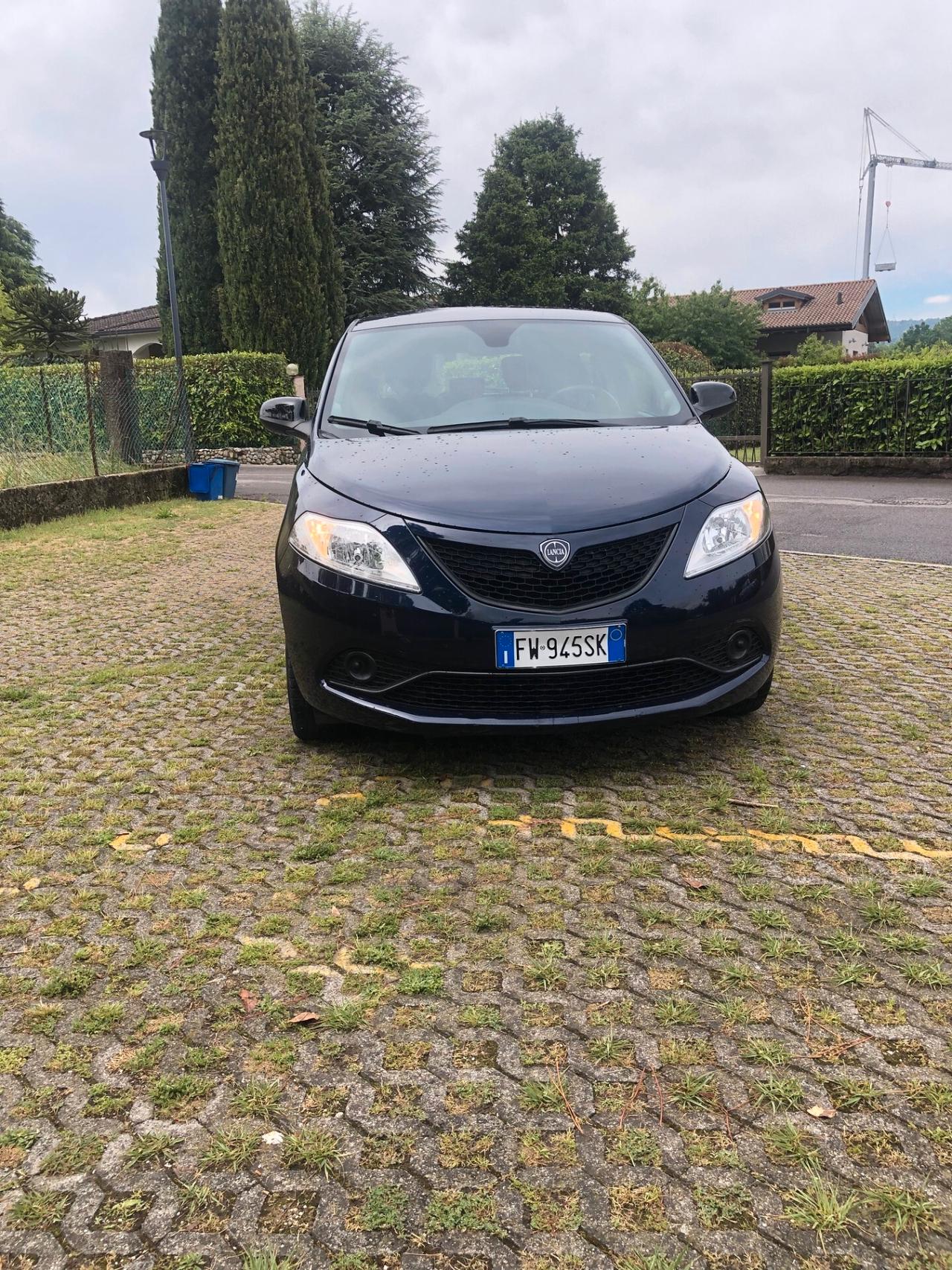 Lancia Ypsilon 1.2 69 CV 5 porte Elefantino Blu