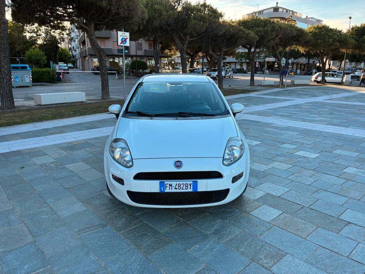 Fiat Punto 1.3 MJT 95CV S&S 5 porte Van 4 posti N1