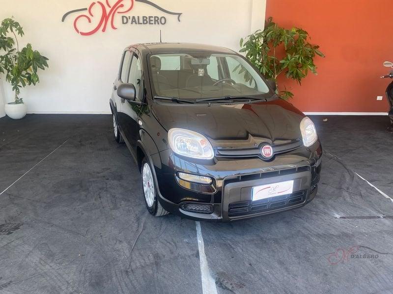 FIAT Panda 1.0 FireFly 70cv S&S Hybrid