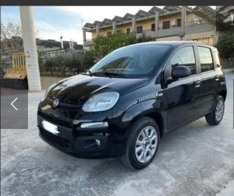 Fiat Panda natural Power