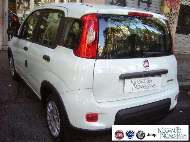 FIAT Panda 1.0 FireFly S&S Hybrid 5°Posto Radio Fiat