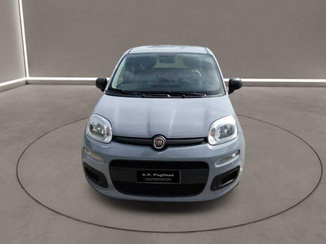 FIAT Panda 3ª serie - 1.0 FireFly S&S Hybrid