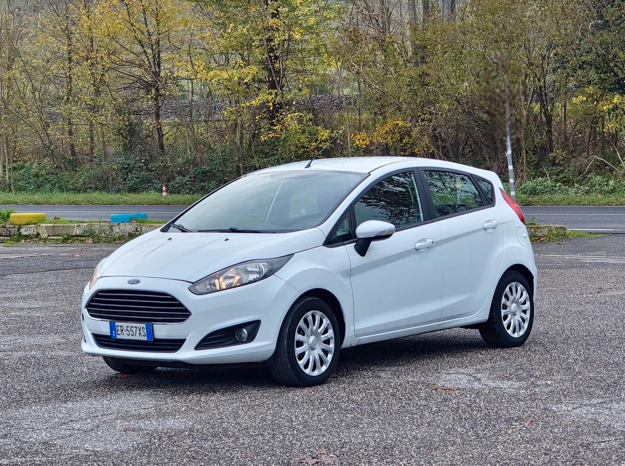 Ford Fiesta 1.0 80CV 5 porte Titanium 2013-E5B Manuale