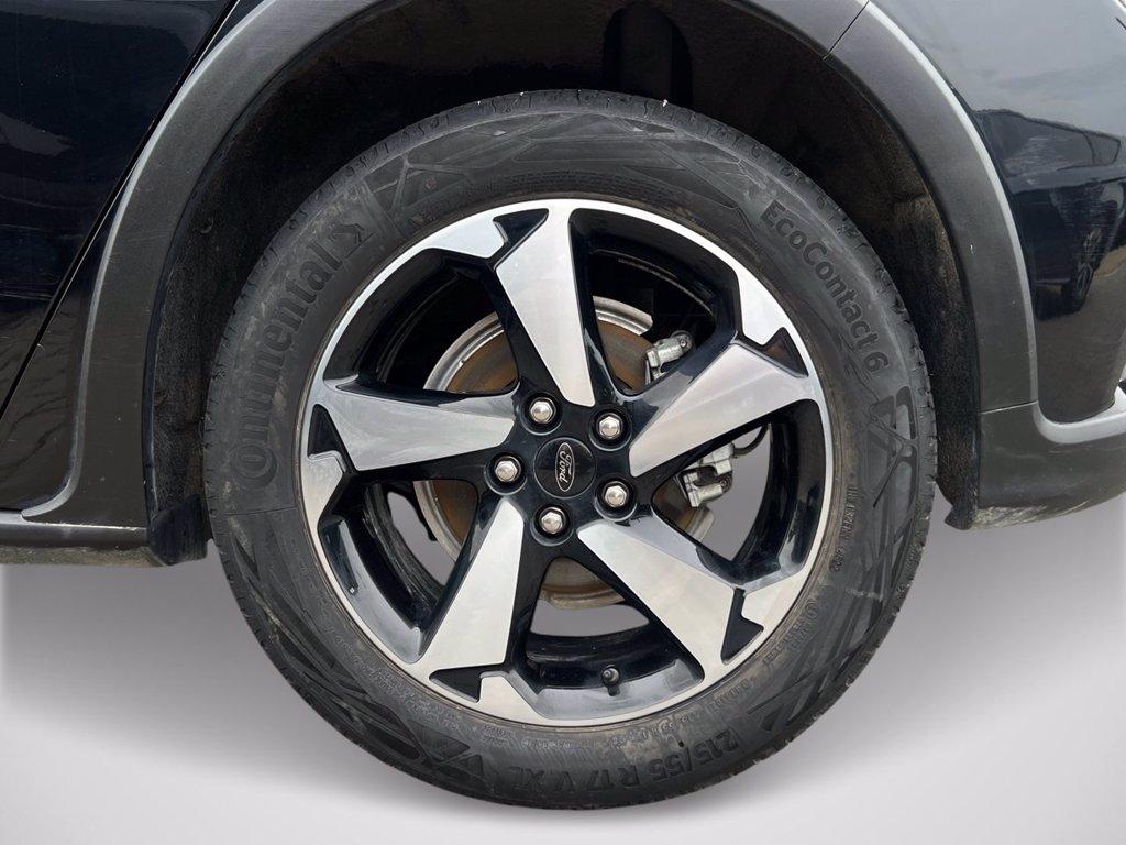 FORD Focus 1.0 EcoBoost Hybrid 125CV 5p. Active Style del 2023