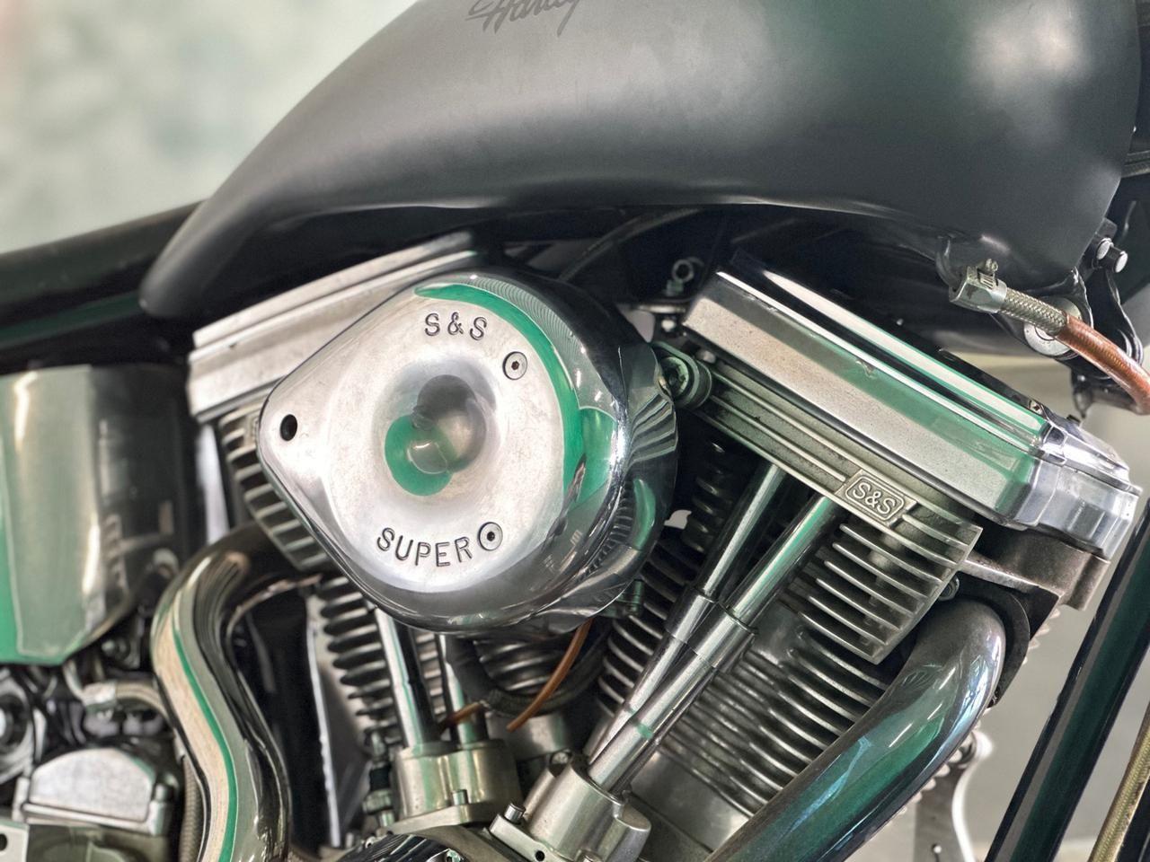 Altro Altro Titan Coyote - Harley Davidson Softail