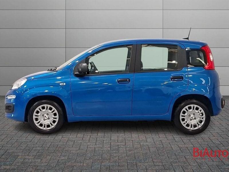 FIAT Panda 1.0 FireFly 70cv S&S Hybrid Icon