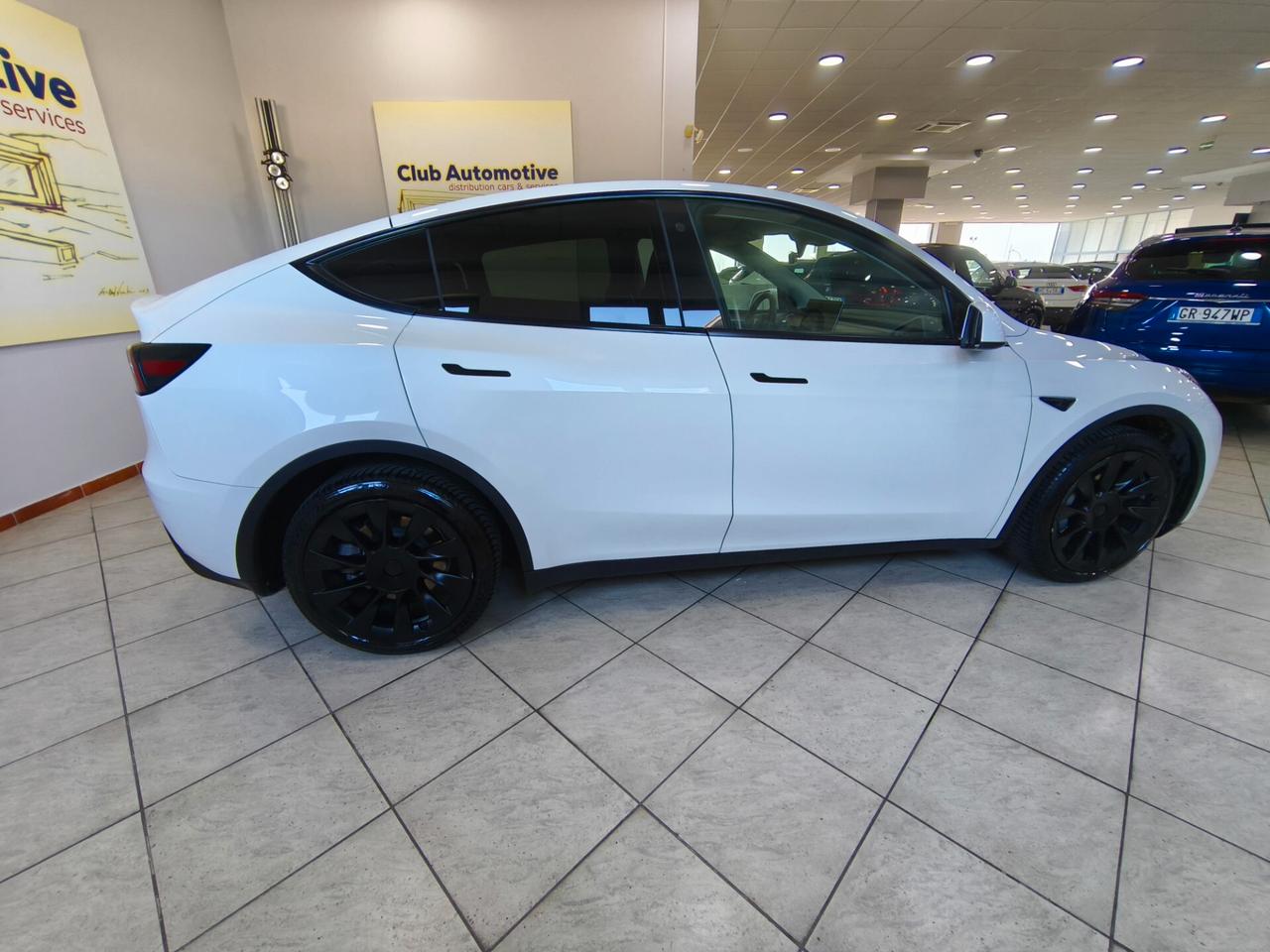 Tesla Model Y Long Range AWD Dual Motor (ARVAL SELECT GARANZIA 2 ANNI)