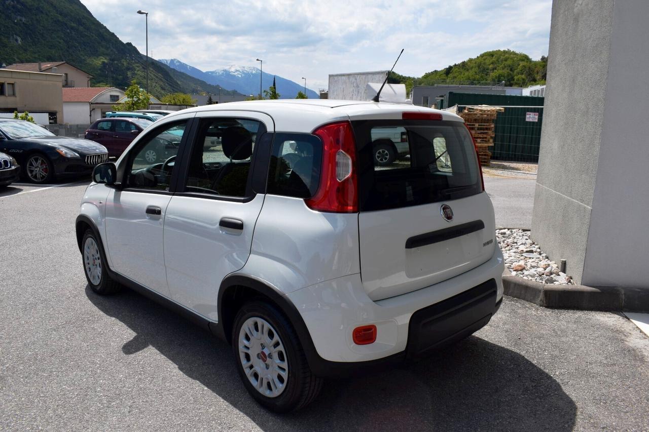 Fiat Panda 1.0 FireFly S&S Hybrid KM0 2024