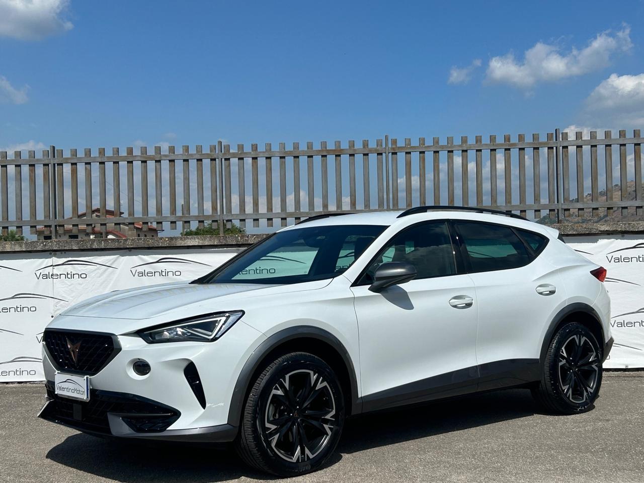 Cupra Formentor 2.0 TDI 4Drive DSG