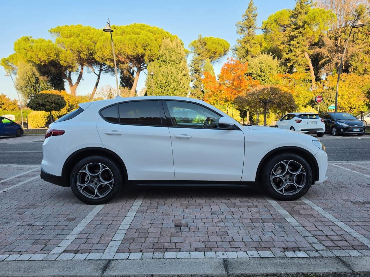 Alfa Romeo Stelvio 2.2 Turbodiesel 160 CV AT8 RWD Sport-Tech