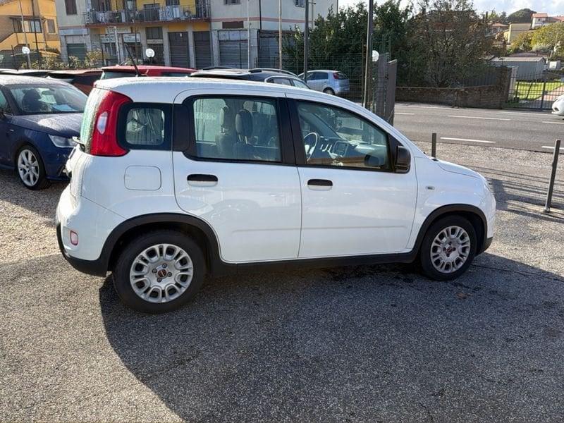 FIAT Panda Panda 1.0 firefly hybrid s&s 70cv 5p.ti