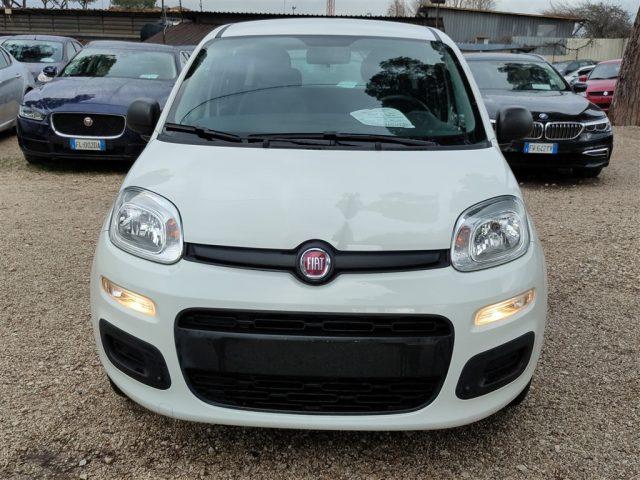 FIAT Panda 1.2 69cv CLIMATIZZATORE OK NEOPATENTATI ..