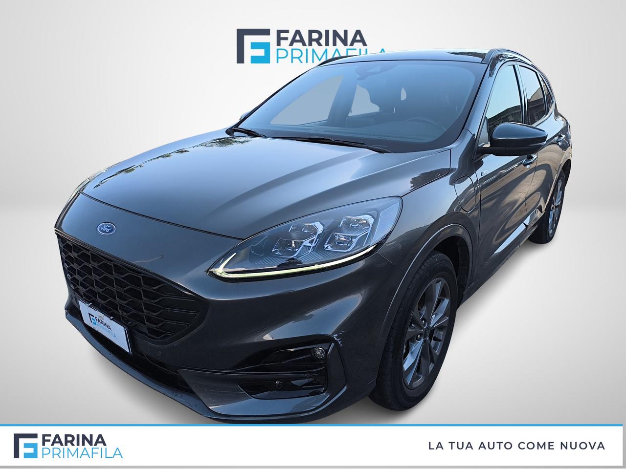 FORD Kuga III 2020 - Kuga 2.5 phev ST-Line X 2wd 225cv cvt