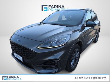 FORD Kuga III 2020 - Kuga 2.5 phev ST-Line X 2wd 225cv cvt