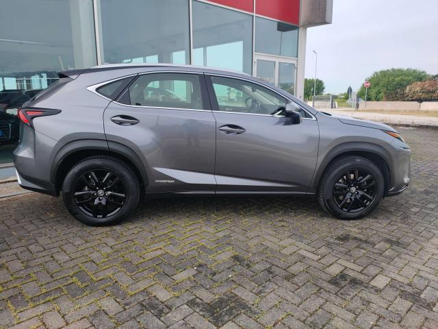 Lexus NX 300 NX 300h 2.5 Business 4wd cvt 24 mesi Garanzia