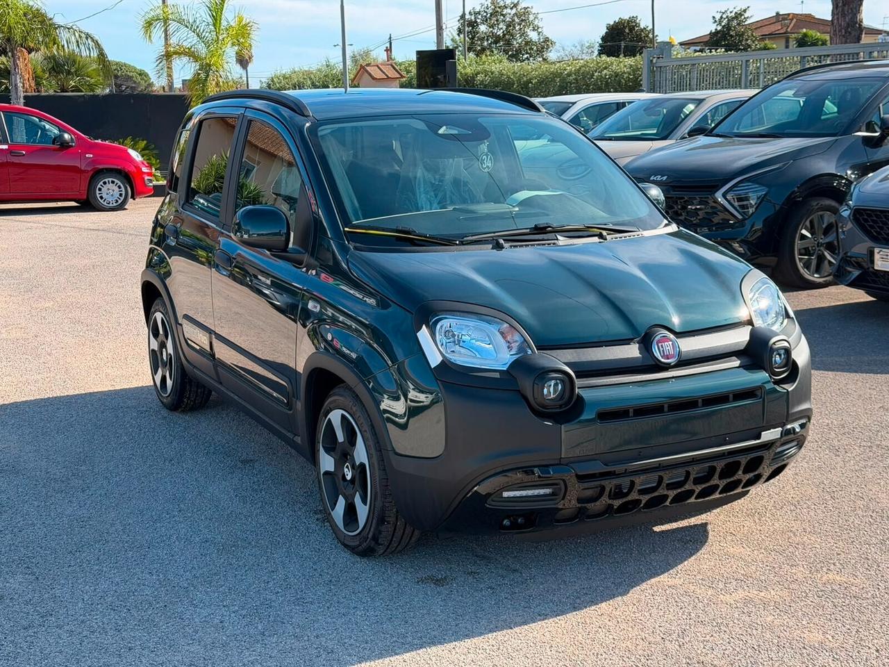 Fiat Panda Pandina 1.0 FireFly 65 CV Hybrid Pop