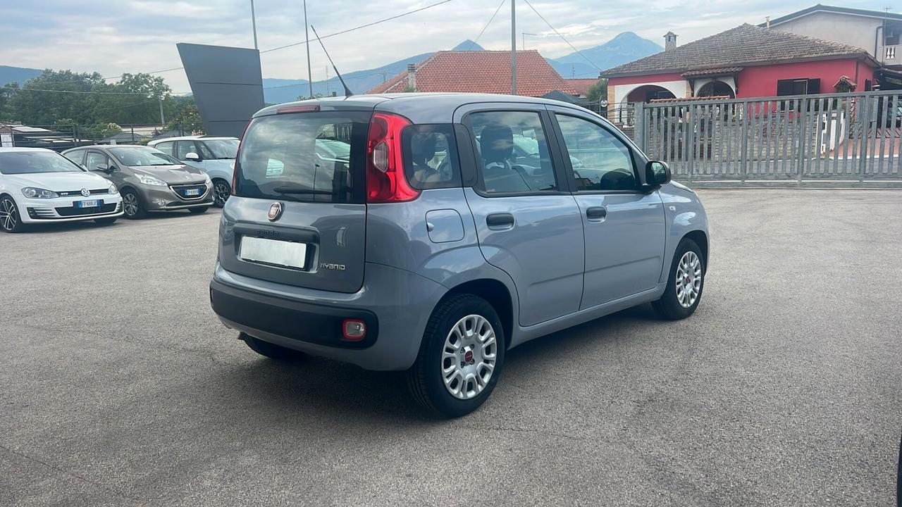 Fiat Panda 1.0 FireFly S&S Hybrid Neopatentati