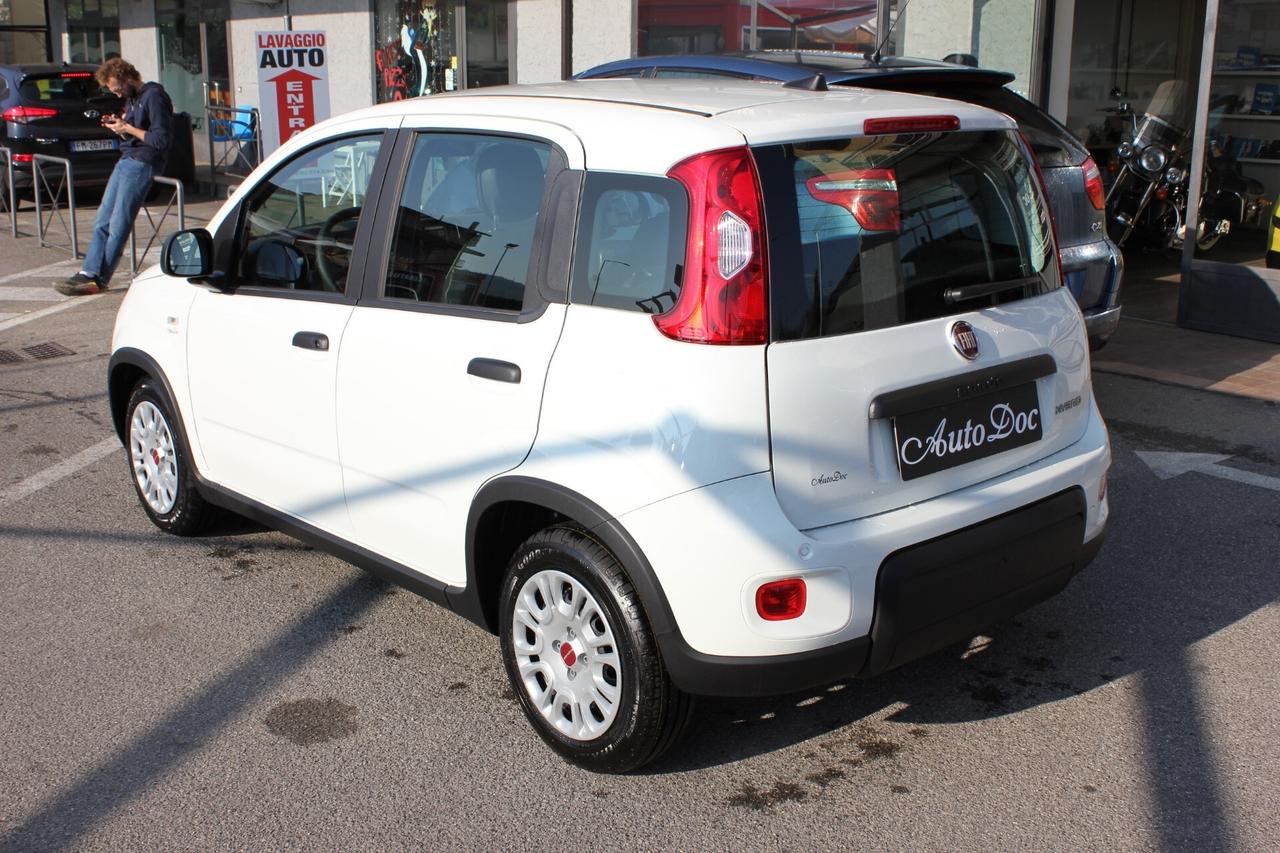 Fiat Panda 1.0 FireFly S&S Hybrid SUPER PREZZO SENZA VINCOLI