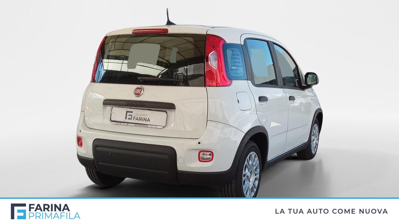 FIAT Panda 1.0 70cv Hybrid Panda