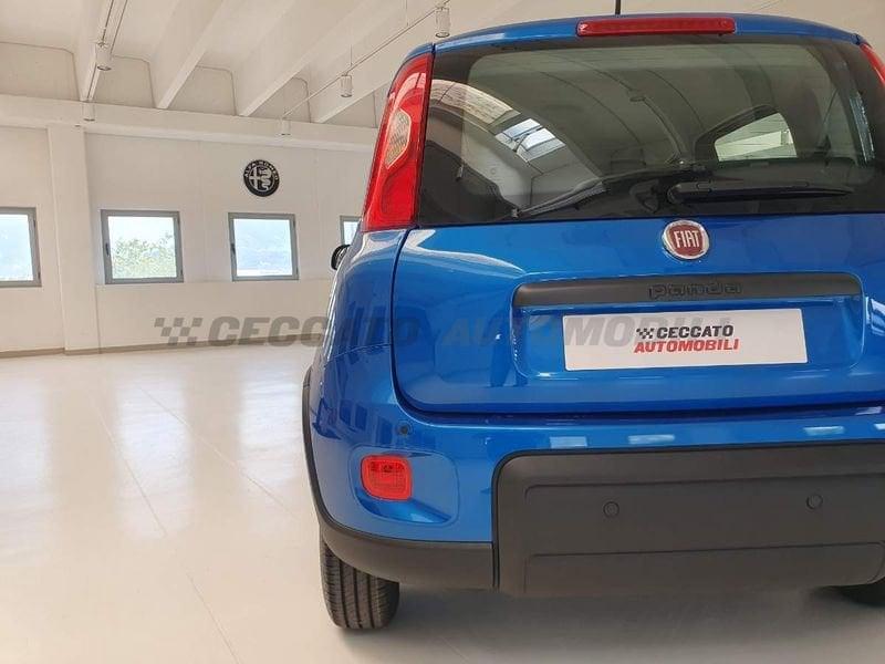 FIAT Panda Panda 1.0 70cv Hybrid Panda