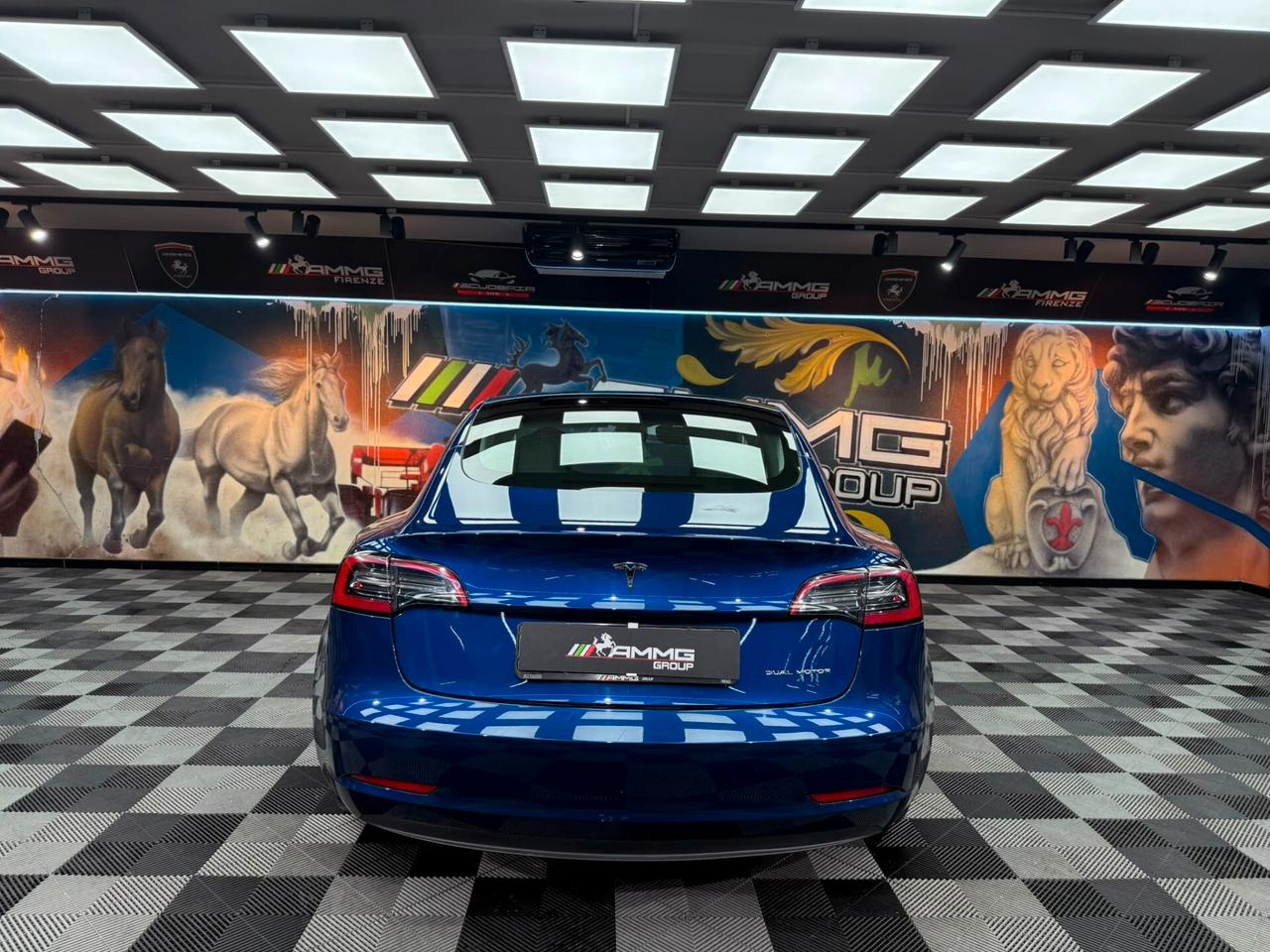 Tesla Model 3 Long Range Dual Motor AWD (369)