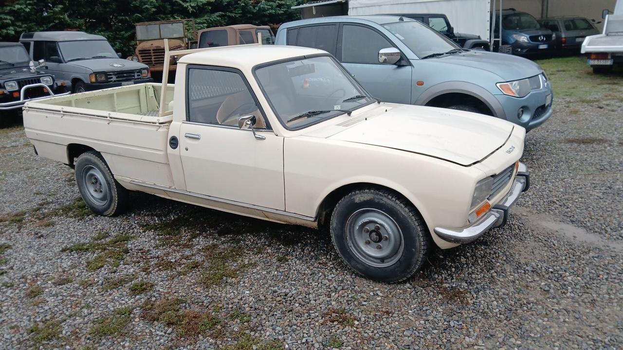 Peugeot 504 testa da fare