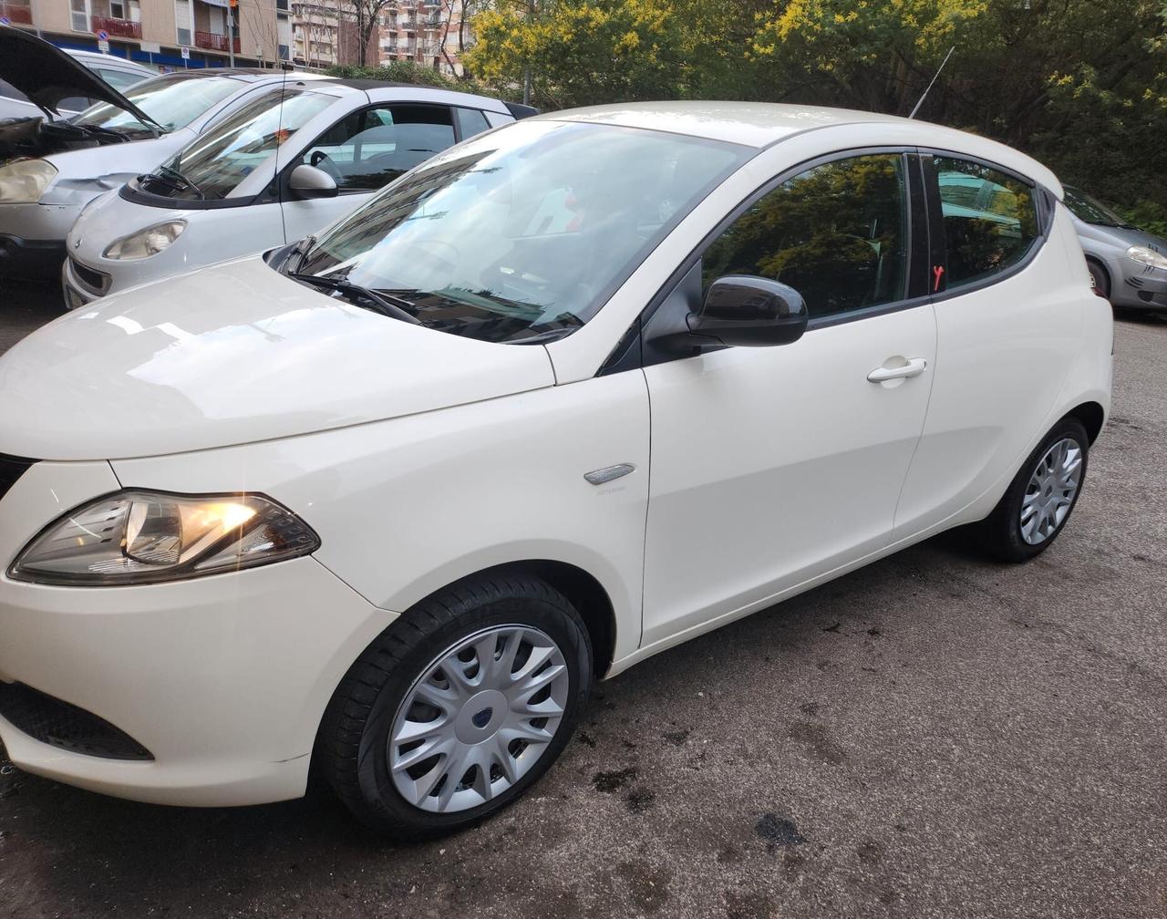 Lancia Ypsilon 1.2 69 CV 5 porte GPL Ecochic Elefantino