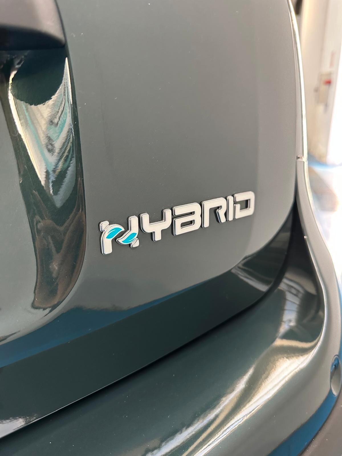 Fiat Panda 1.0 FireFly S&S Hybrid